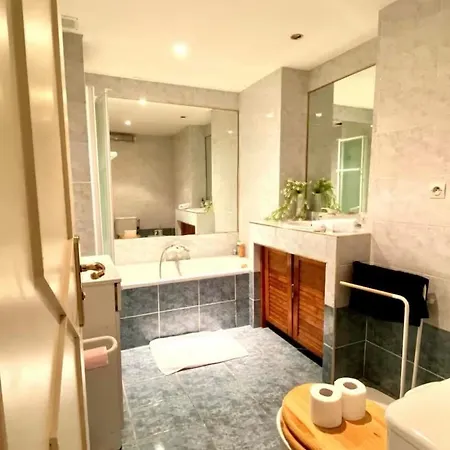 2 Pieces Avec Clim Proche Place Massena Daire